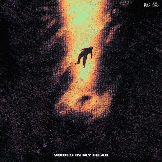 VOICES IN MY HEAD