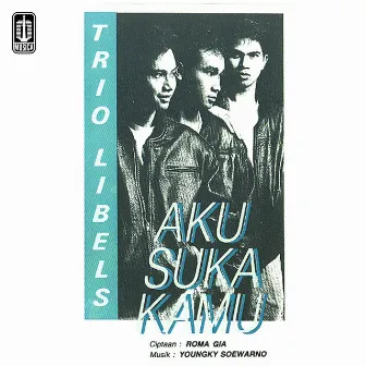 Aku Suka Kamu by Trio Libels