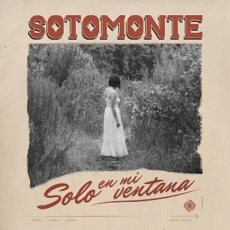 Solo en mi ventana by Sotomonte