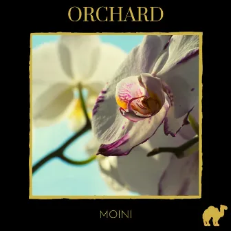 Orchard by Moini