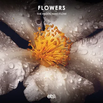 Flowers by Maki Flow