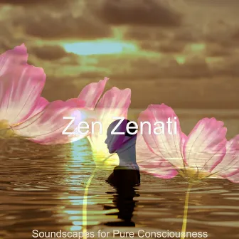 Soundscapes for Pure Consciousness by Zen Zenati