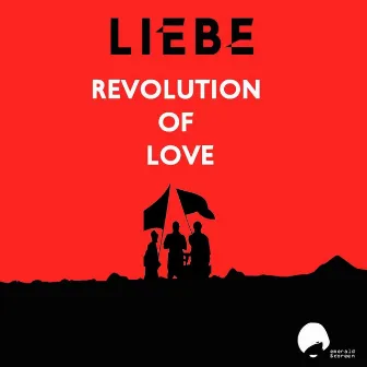 Revolution of Love by Unknown Artist