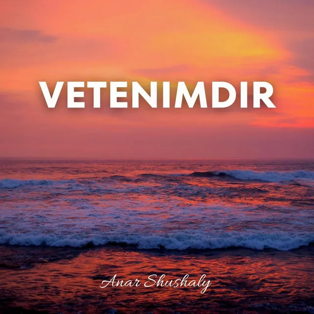 Vetenimdir