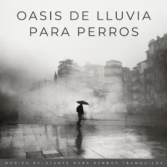 Oasis De Lluvia Para Perros: Música Relajante Para Perros Tranquilos by Listas de reproducción de música relajante para perros