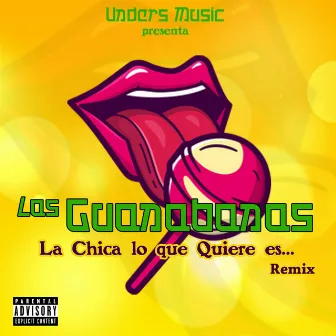 La Chica Lo Que Quiere Es... (Remix) by Las Guanabanas