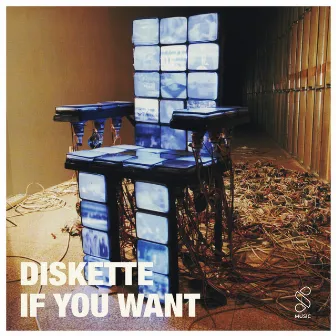 If You Want by Diskette