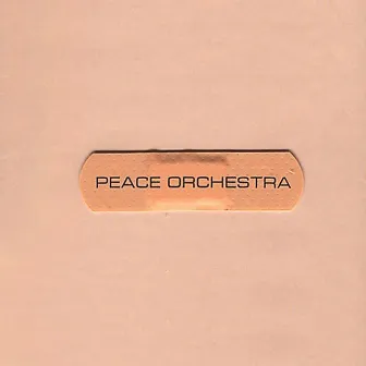 Peace Orchestra by Peace Orchestra