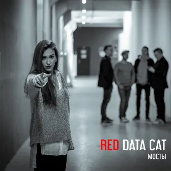 Мосты (Original) by Red Data Cat