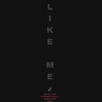 Like Me by Young Jnb