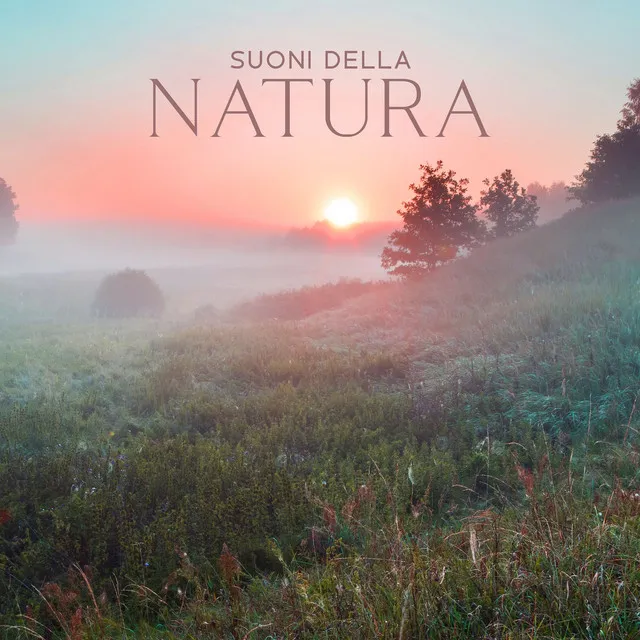 Suoni Della Natura: Musica Rilassante Con Rumore Di Pioggia, Suoni Del Bosco, Onde Oceaniche (Per Meditazione Profonda, Yoga, Pilates, Rilassamento)