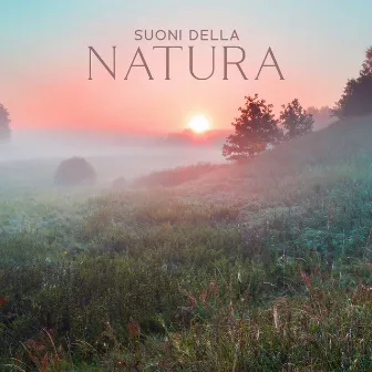 Suoni Della Natura: Musica Rilassante Con Rumore Di Pioggia, Suoni Del Bosco, Onde Oceaniche (Per Meditazione Profonda, Yoga, Pilates, Rilassamento) by 