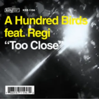 Too Close by A Hundred Birds