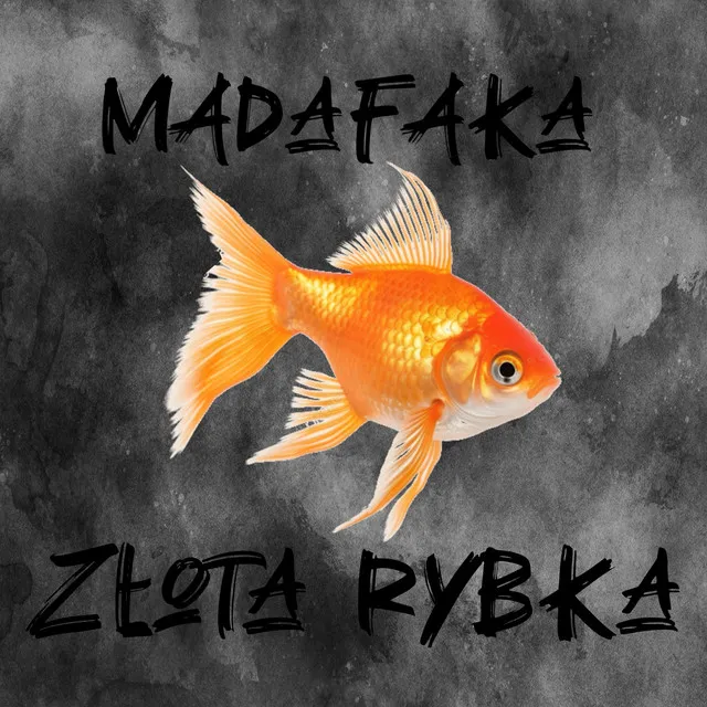 ZŁOTA RYBKA