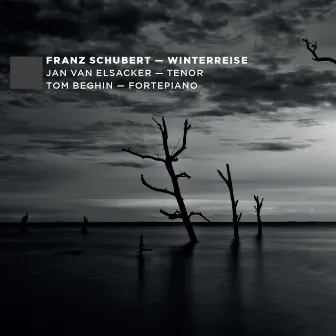 F. Schubert: Winterreise by Tom Beghin