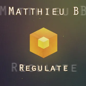 Regulate by Matthieu B