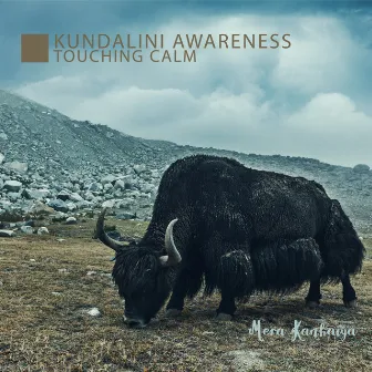 Kundalini Awareness: Touching Calm, Chakra Energy, Ascension to Tibet, Eternal Sunshine, Calm Heart, Healing Power of Tibetan Singing Frequencies, Visayana Flow by Mera Kanhaiya