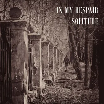 Solitude by In My Despair