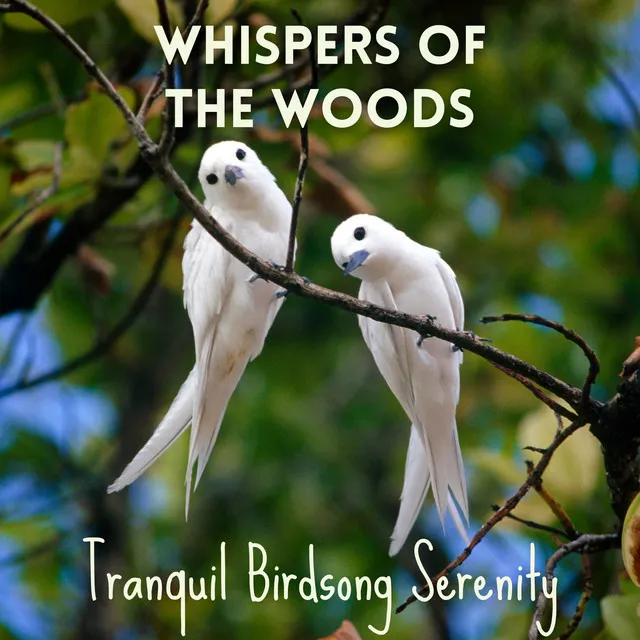 Whispers of the Woods: Tranquil Birdsong Serenity