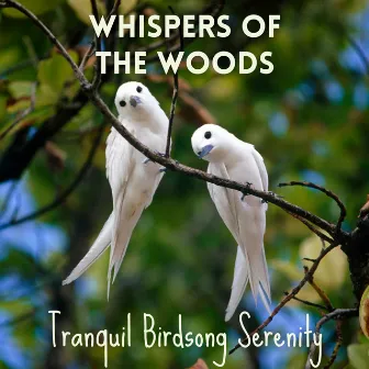 Whispers of the Woods: Tranquil Birdsong Serenity by 