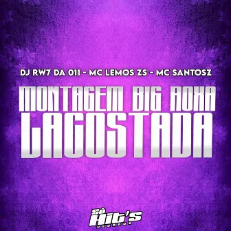 Montagem Big Roxa Lacostada by DJ RW7 DA 011