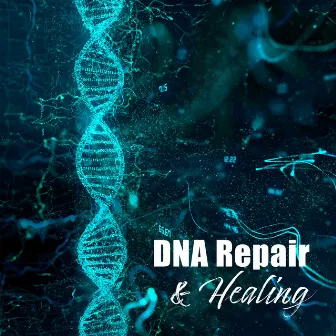 DNA Repair & Healing: Nerve And Cell Regeneration, Stress Reduction, Anxiety, Depression, Migraine by Brayan Brain Waves