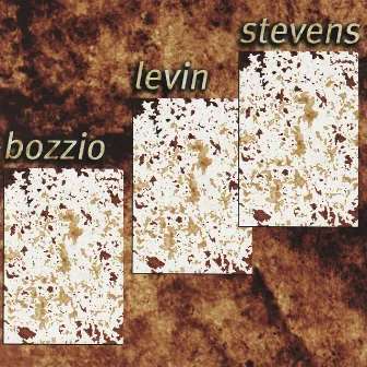 Situation Dangerous by Bozzio Levin Stevens