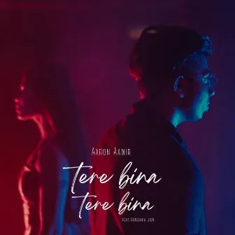 Tere Bina Tere Bina by Aaron Aamir