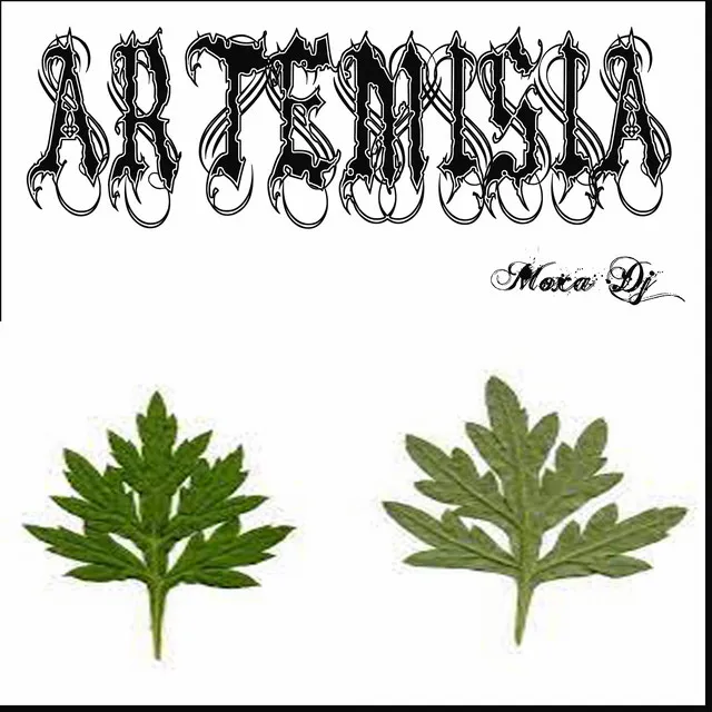 Artemisia