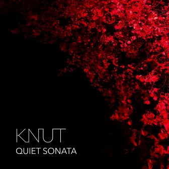 Quiet Sonata by Knut Bjørnar Asphol