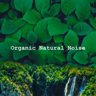 Organic Natural Noise by Natures DNA