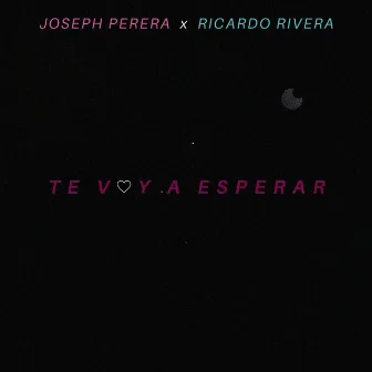 Te Voy a Esperar by Ricardo Rivera