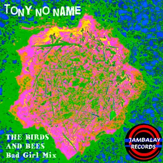 The Birds and Bees (Bad Girl Mix) by Tony No Name