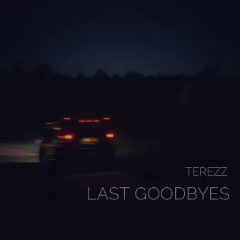 LAST GOODBYES by TEREZZ