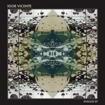 Endless EP by Igor Vicente