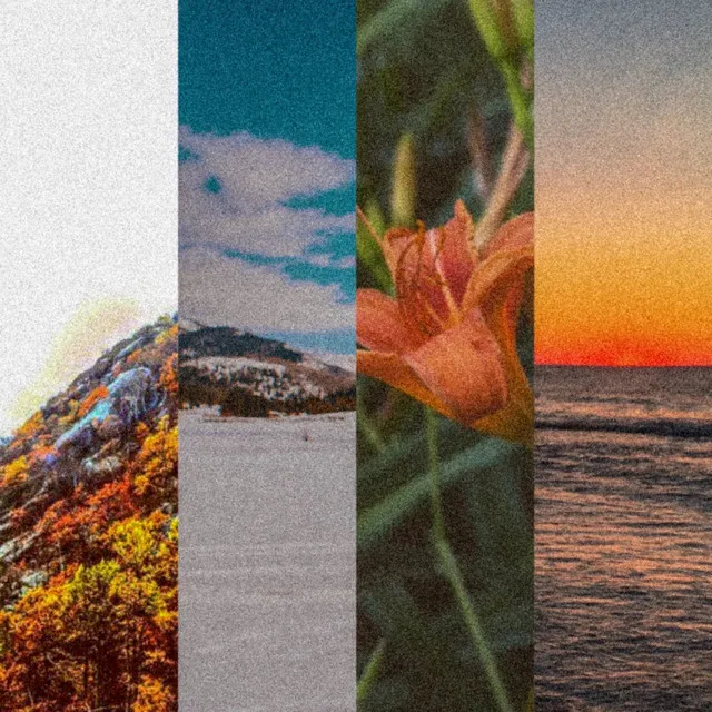 Seasons