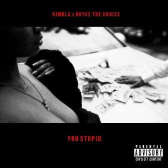 You Stupid by Royce The Choice