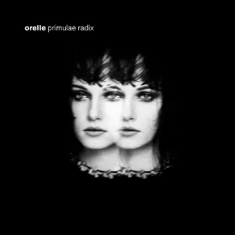 Primulae radix by Orelle