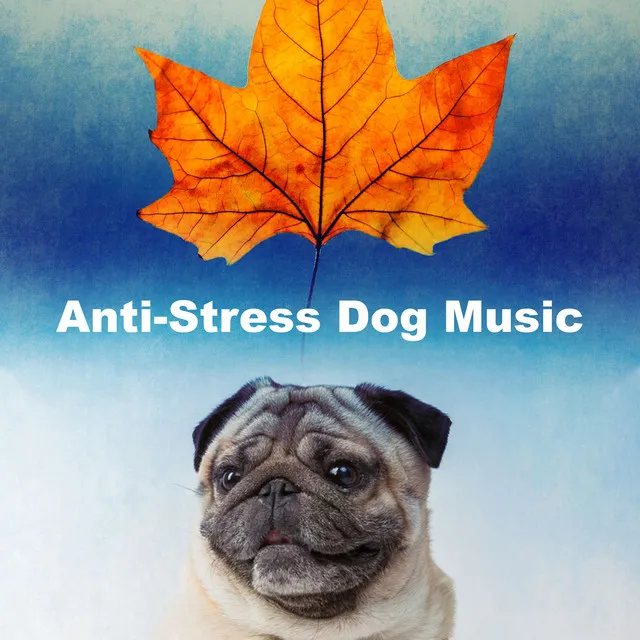 Anti-Stress Dog Music