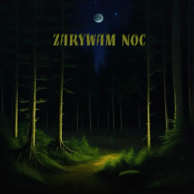 zarywam noc