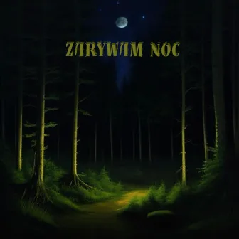 zarywam noc by Marcinek