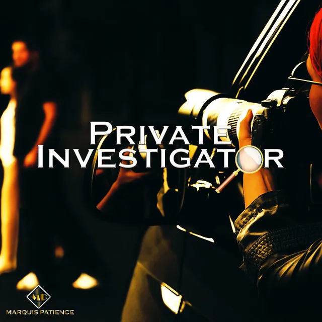 Private Investigator