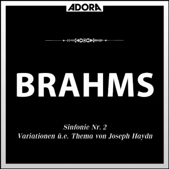 Brahms: Sinfonie No. 2, Op. 73 - Variationen über ein Thema von Joseph Haydn, Op. 56a by Sudwestfunkorchester Baden-Baden