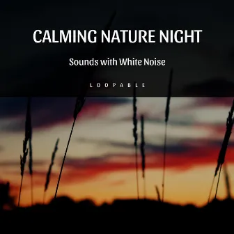 Calming Nature Night Sounds with White Noise, Loopable by White Noise Universe