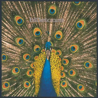 Expecting To Fly by The Bluetones