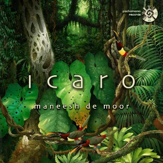 Icaro by Maneesh de Moor