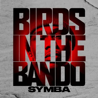 Birds In The Bando by Symba