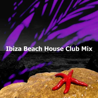 Ibiza Beach House Club Mix by Beach House Club