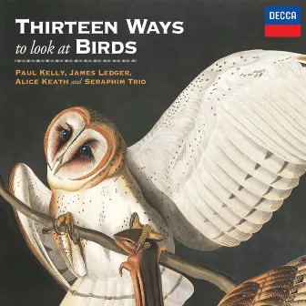 Thirteen Ways To Look At Birds by James Ledger