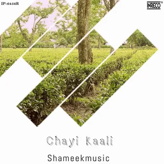 Manzile - Chayi Kaali by Shameek Kundu